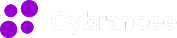 Cybrancee Blog