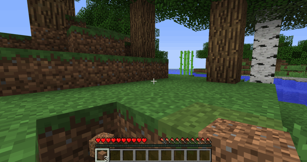 Minecraft Screenshot First Person 1