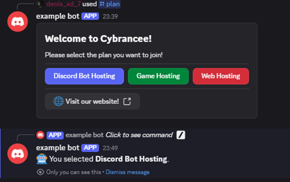 a container along with a selection confirmation for discord bot hosting