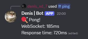 a discord bot with websocket ping and response time