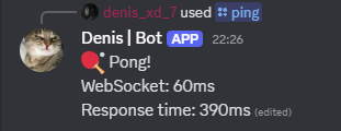 a discord bot with websocket ping and response time