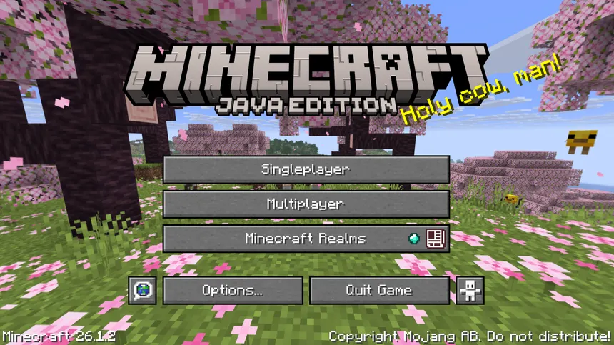 Minecraft Java Edition Title Screen