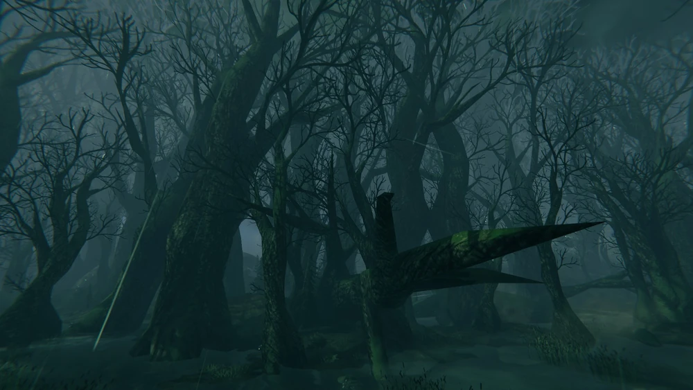 Swamps Biome