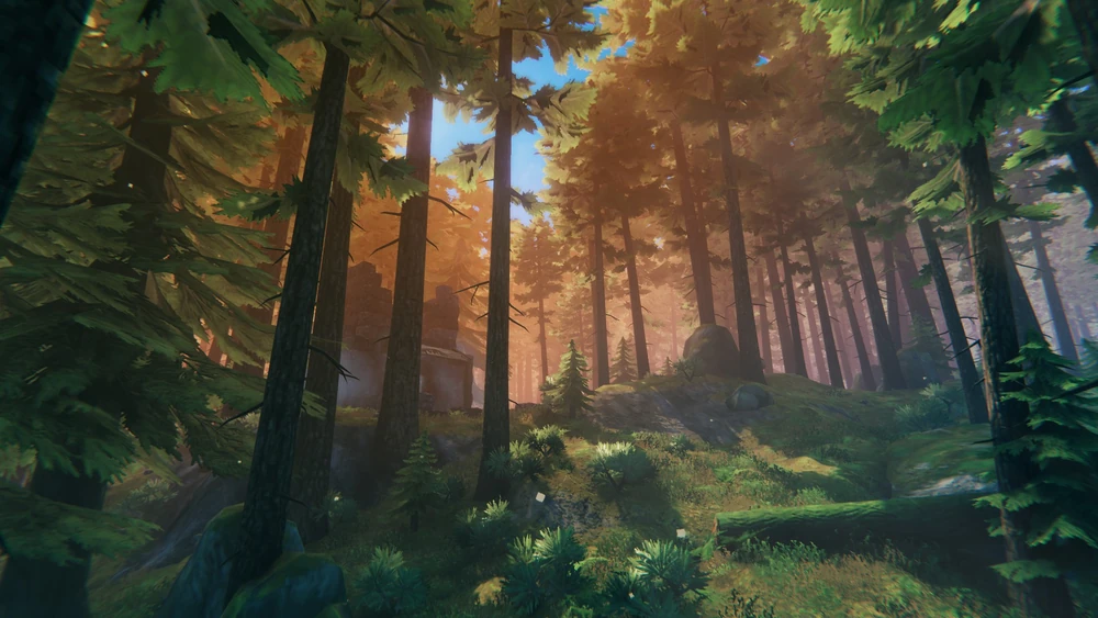 The Black Forest Biome