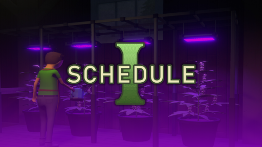 thumbnail for the blog schedule 1 top providers