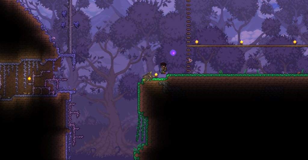 Terraria Character Between Corruption Biome
