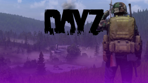 thumbnail for the blog top5 best providers for dayz