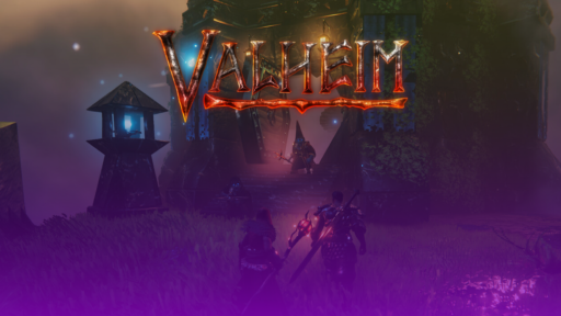 thumbnail for the blog valheim how to choose best provider
