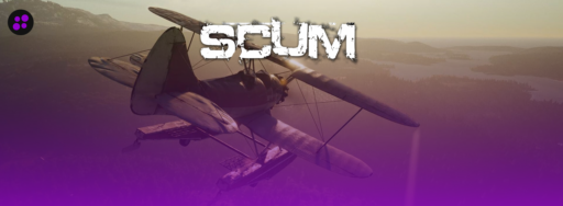 thumbnail for top 5 best scum providers cybrancee