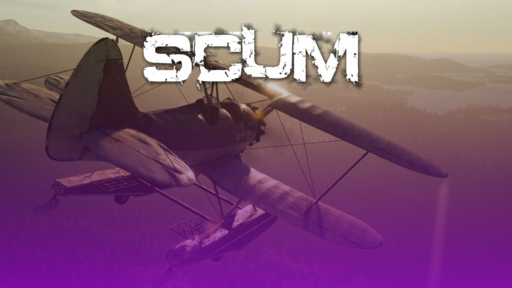 thumbnail for top 5 best scum providers cybrancee
