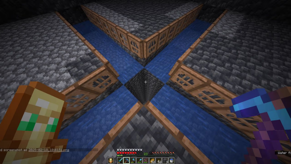 Minecraft Player Stading on the Trap Door