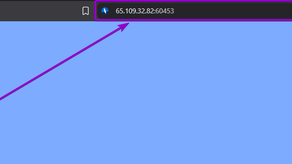 Adding the server IP and port in the URL to pull up the server map in the web browser