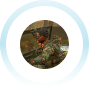 Gameplay image