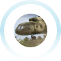 Arma Reforger gameplay image