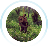Gameplay image