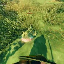 First Person View mod