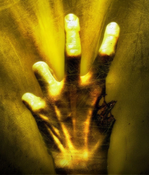 Left 4 Dead 2 background