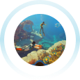 Gameplay image