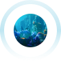 Gameplay image
