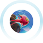 Subnautica 2 gameplay image