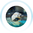 Subnautica 2 gameplay image