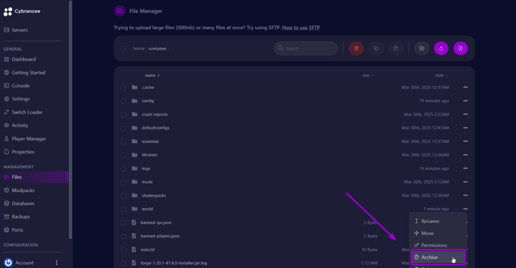 Cybrancee panel files screen with archive world option