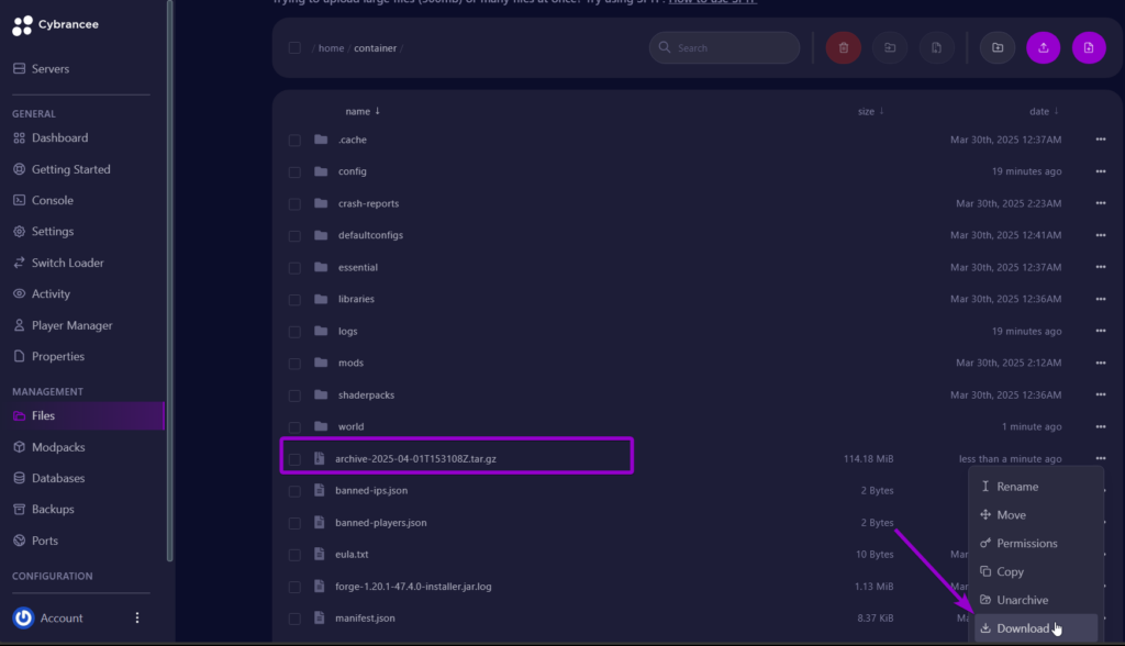 Cybrancee panel files screen with download world option