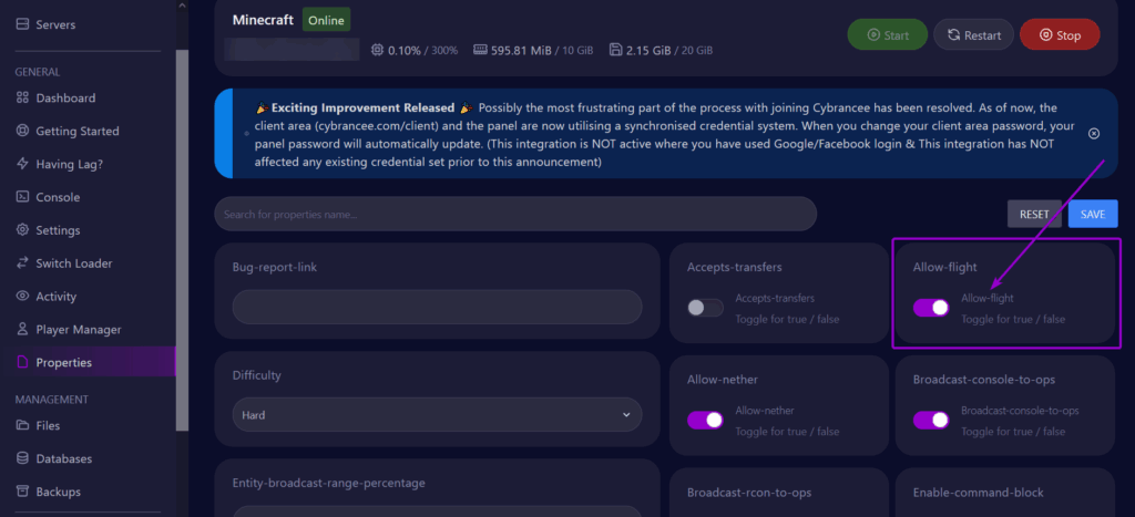 Cybrancee panel Minecraft properties tab with field highlighted