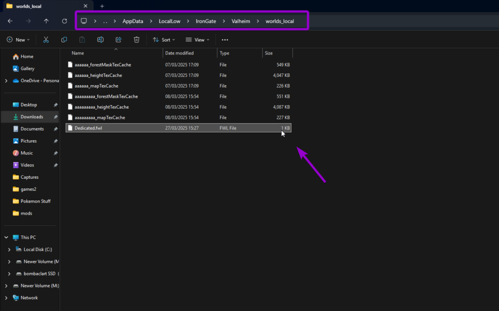 File explorer with Valheim world path