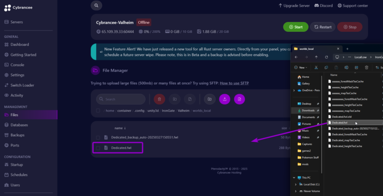 File screen with Valheim world file