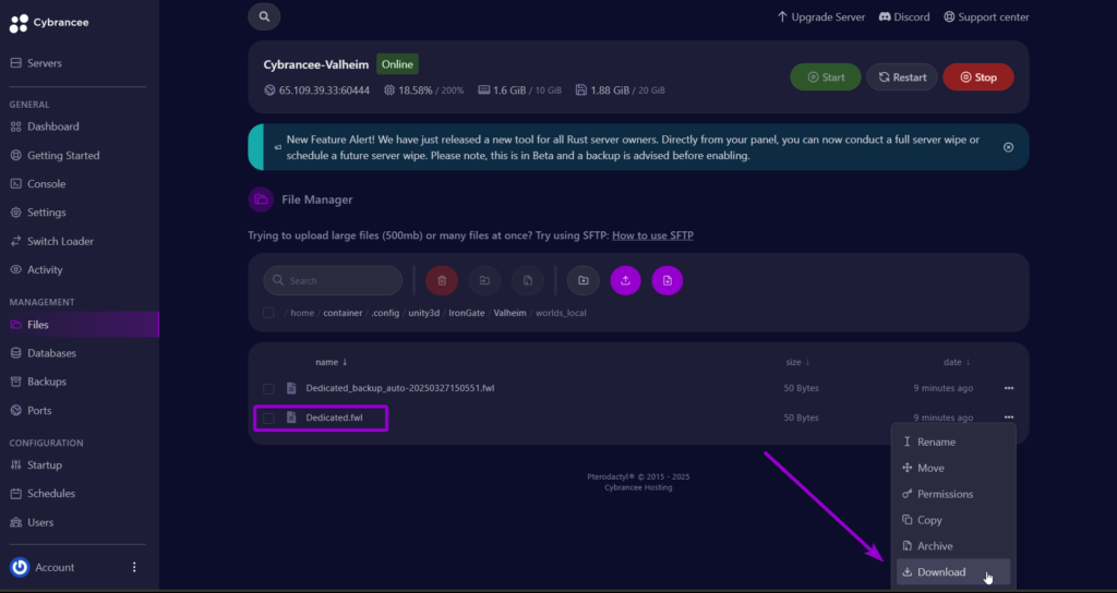 Files screen, showing path to the config file and download option Valheim