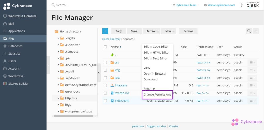 Plesk files page