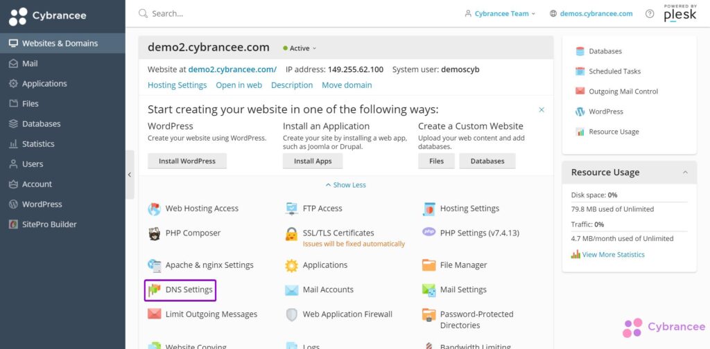 Plesk websites and domains tab with highlighted DNS Settings