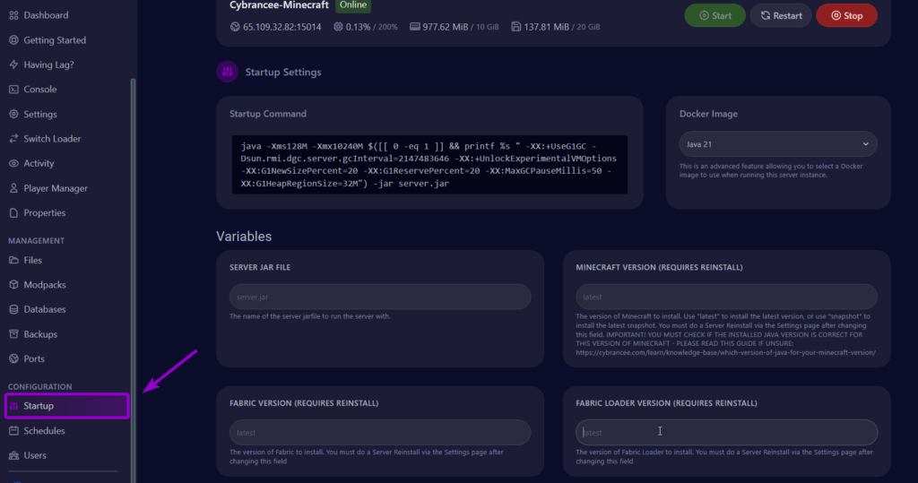 Startup tab active Minecraft