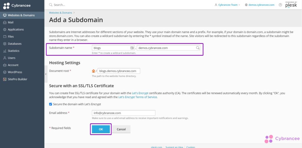 Plesk add subdomain screen with subdomain details highlighted