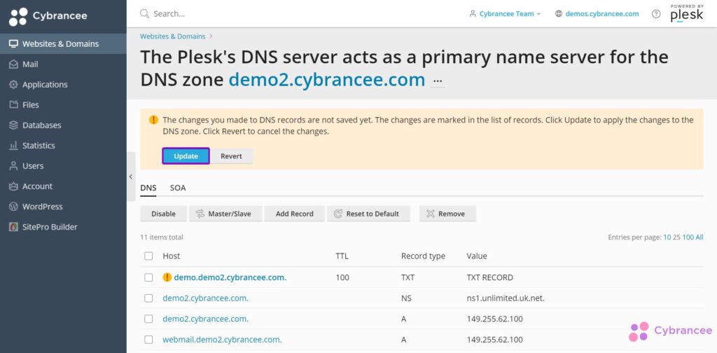 Plesk DNS settings screen