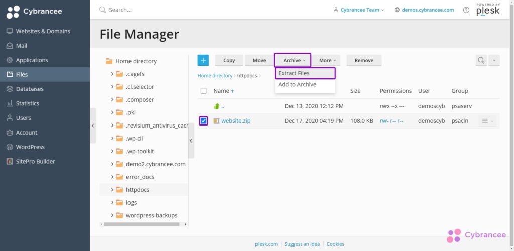 Plesk file manager with extract files option highlighted