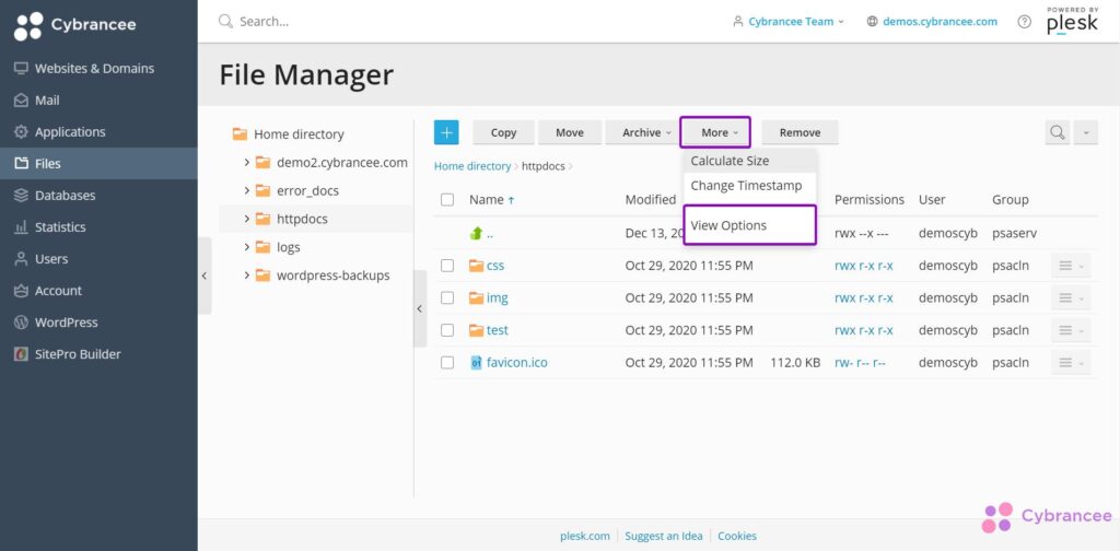 Plesk file manager with view options higlighted