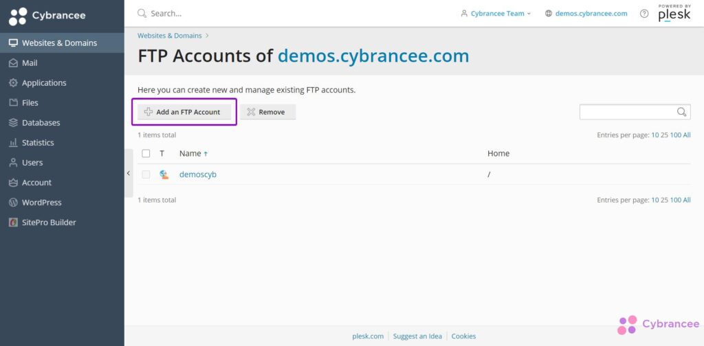 Plesk FTP page