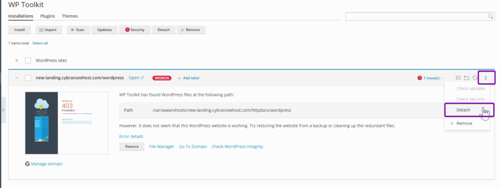 Plesk WP Toolkit detach