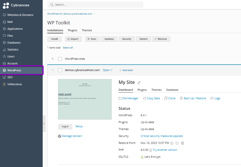 Plesk websites and domains screen, with wordpress tab highlighted