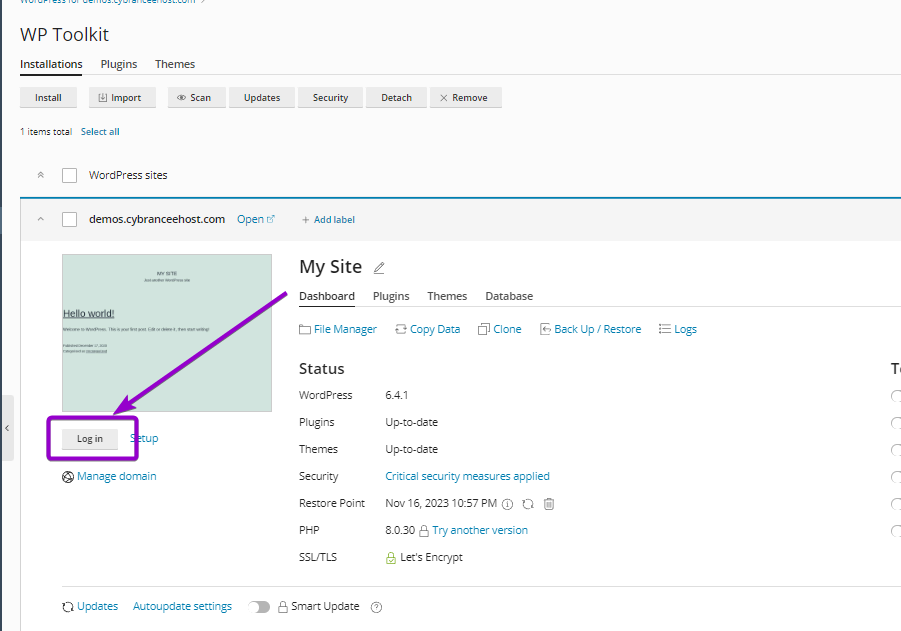 Plesk WordPress log in button
