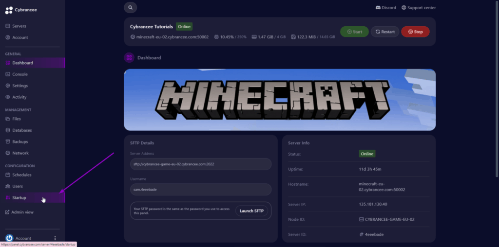 Pterodactyl dashboard with startup tab highlighted
