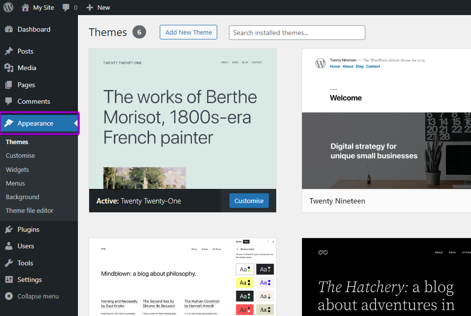 WordPress appearance tab