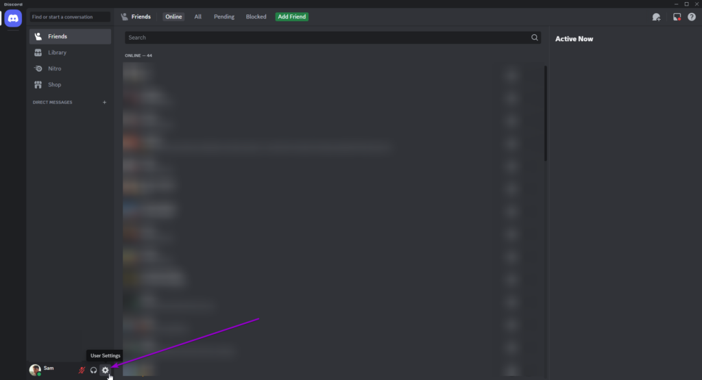 Discord user settings option