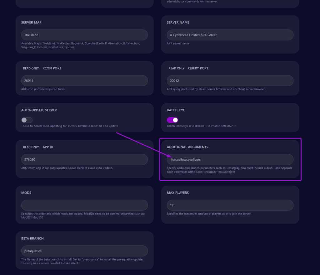 The startup tab for the Cybrancee control panel