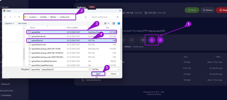File explorer window of Valheim world files, with Cybrancee panel behind