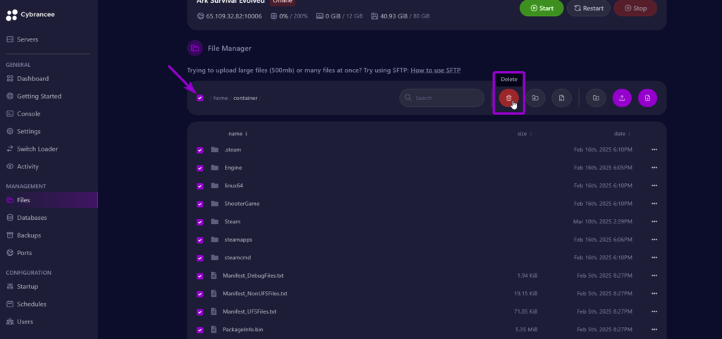 Cybrancee panel Ark: Survival Evolved files screen, with delete button outlined