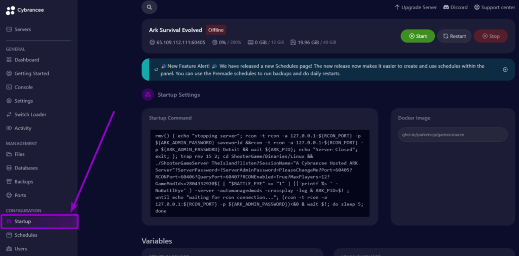 Cybrancee panel Ark: Survival Evolved startup tab outlined