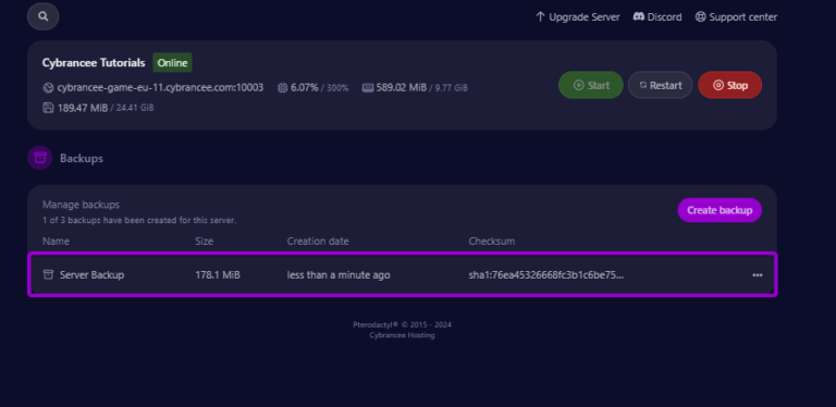 Cybrancee panel backups screen, with existing backup outlined